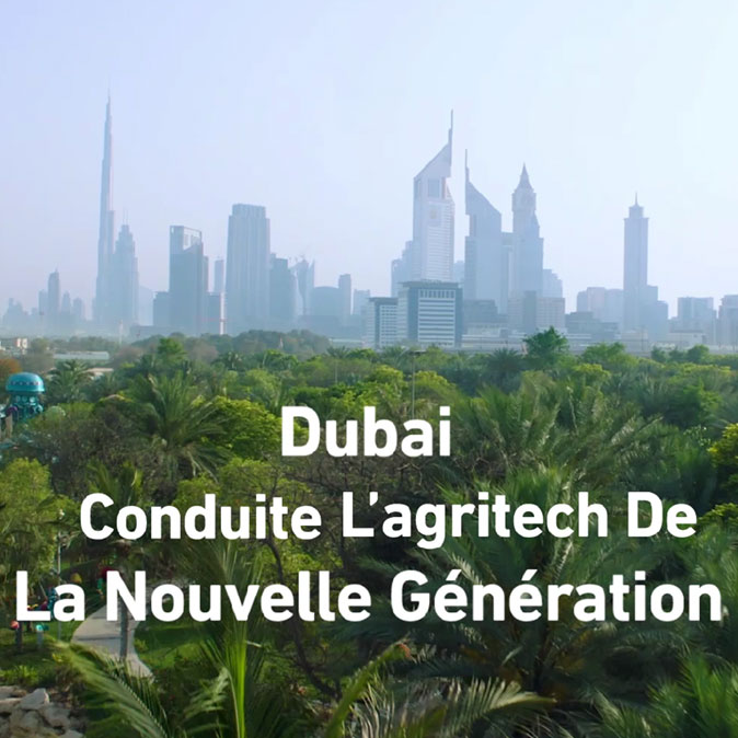 Animation_Dubai_French
