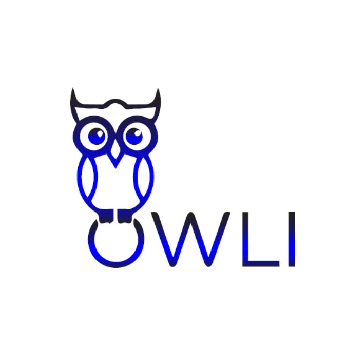 Branding_Owli
