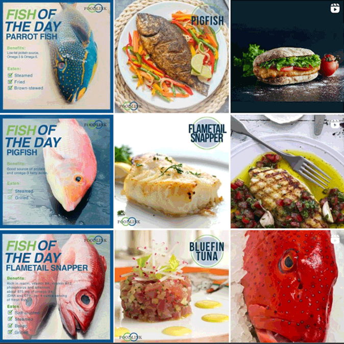 Social Media - FOOD AUSTRALIA