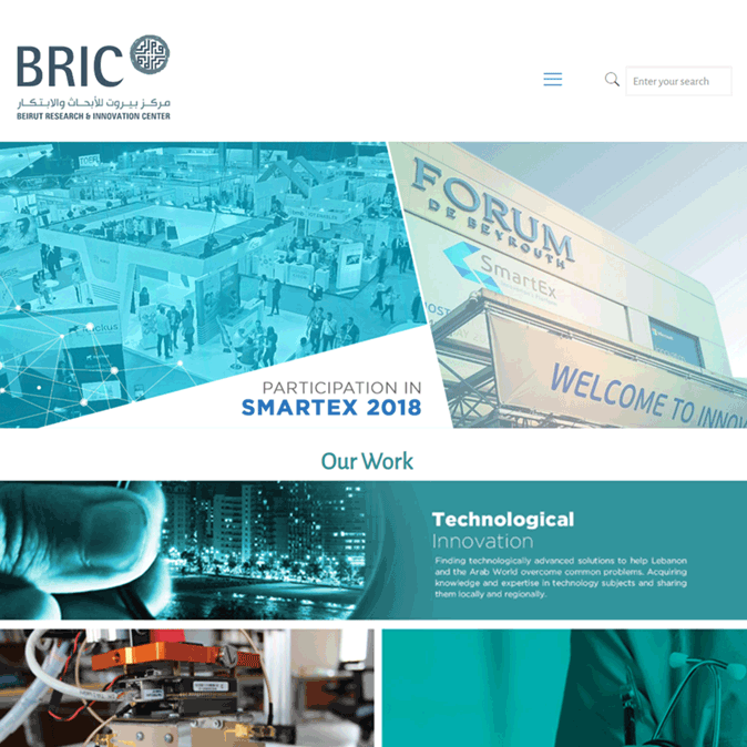 Websites - LEBCSR